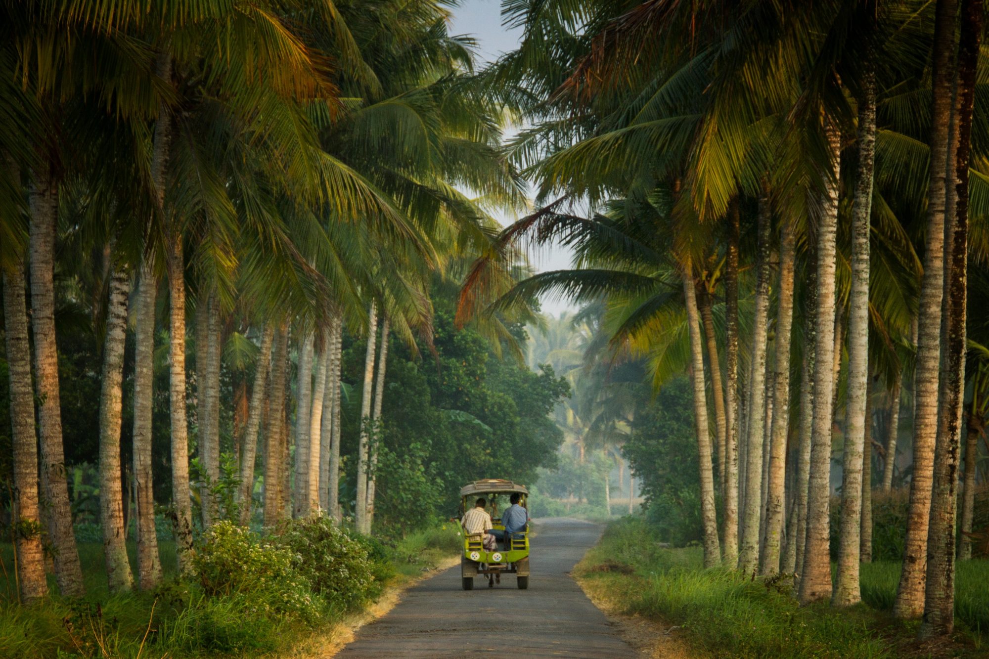 Indonesië