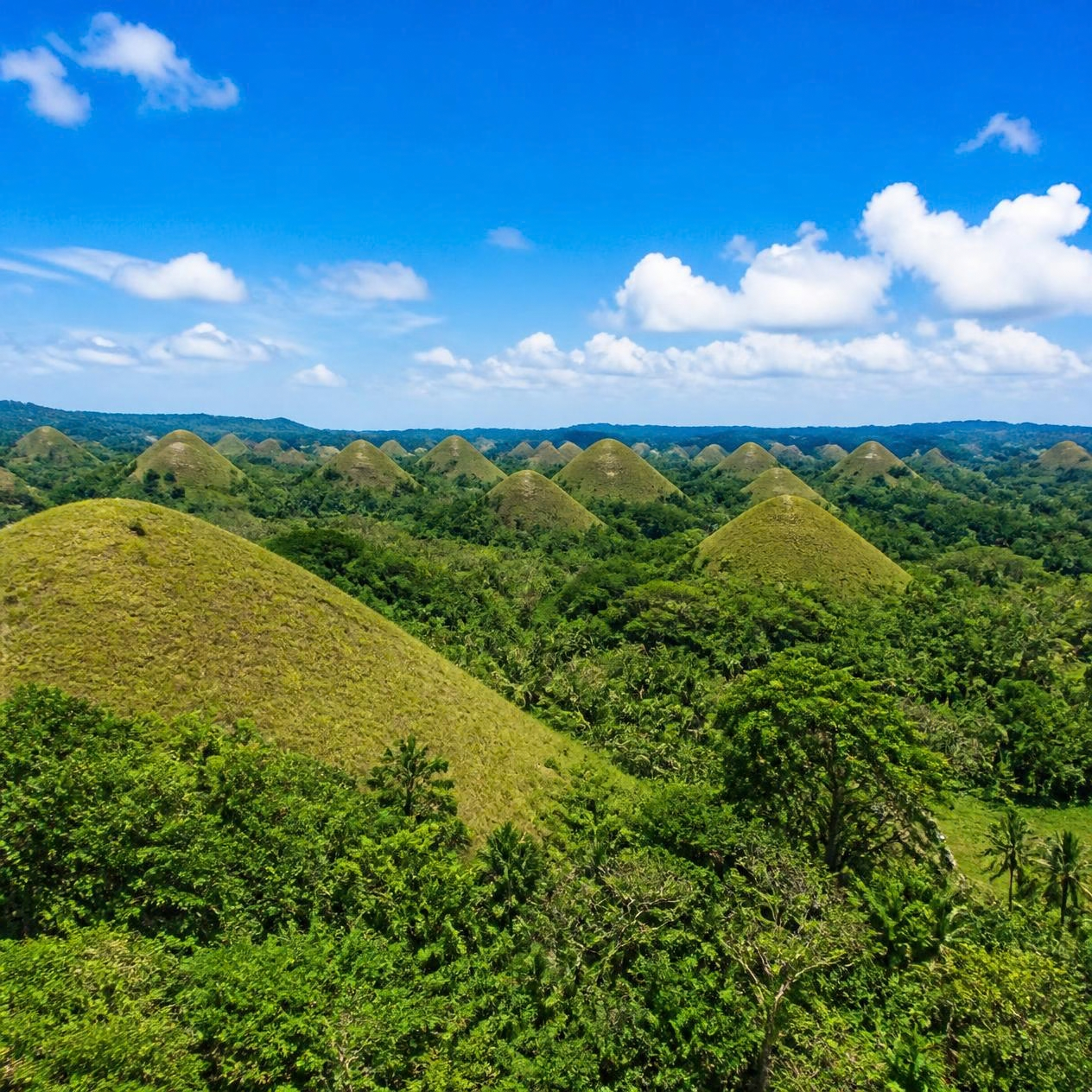 Chocolate Hills - Filipijnen