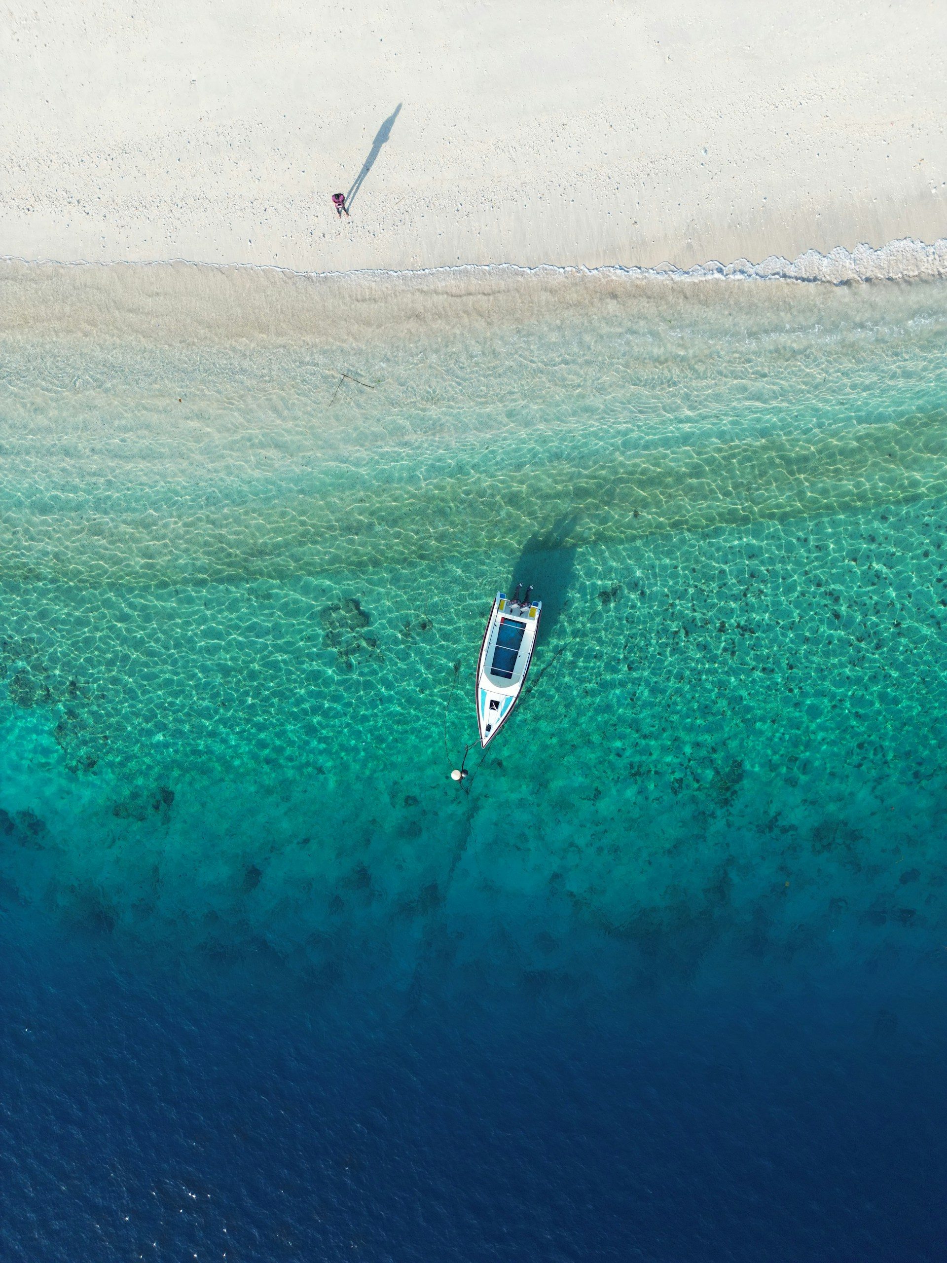 Credit foto: Porwaji Santoso - Unsplash
