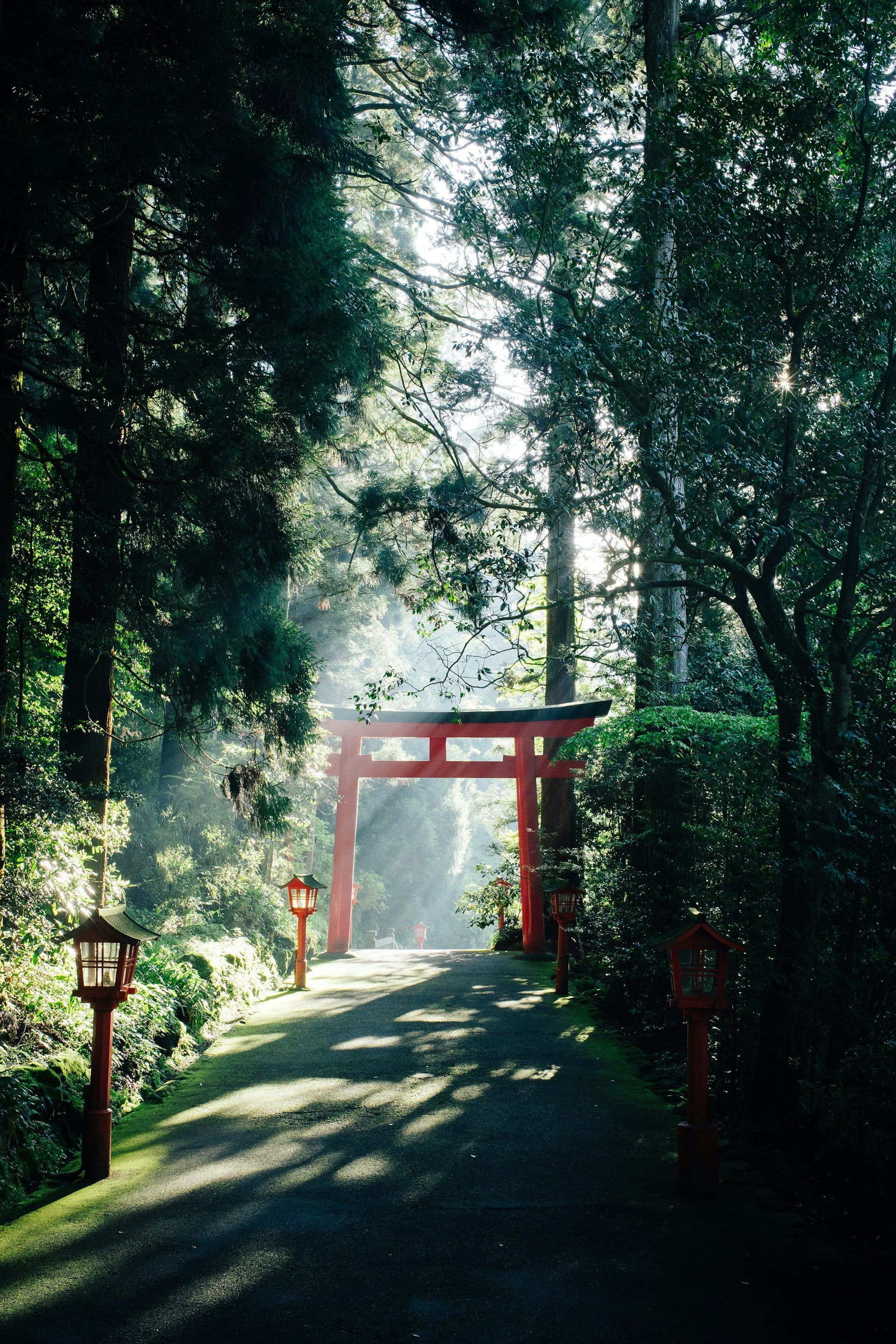 Credits foto: Syuhei Inoue - Unsplash