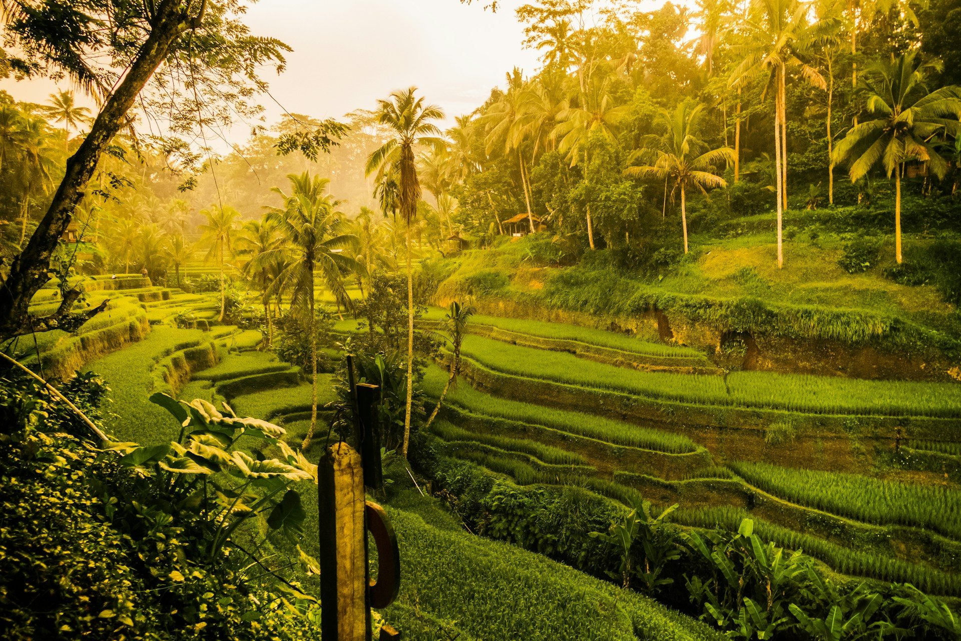 Bali