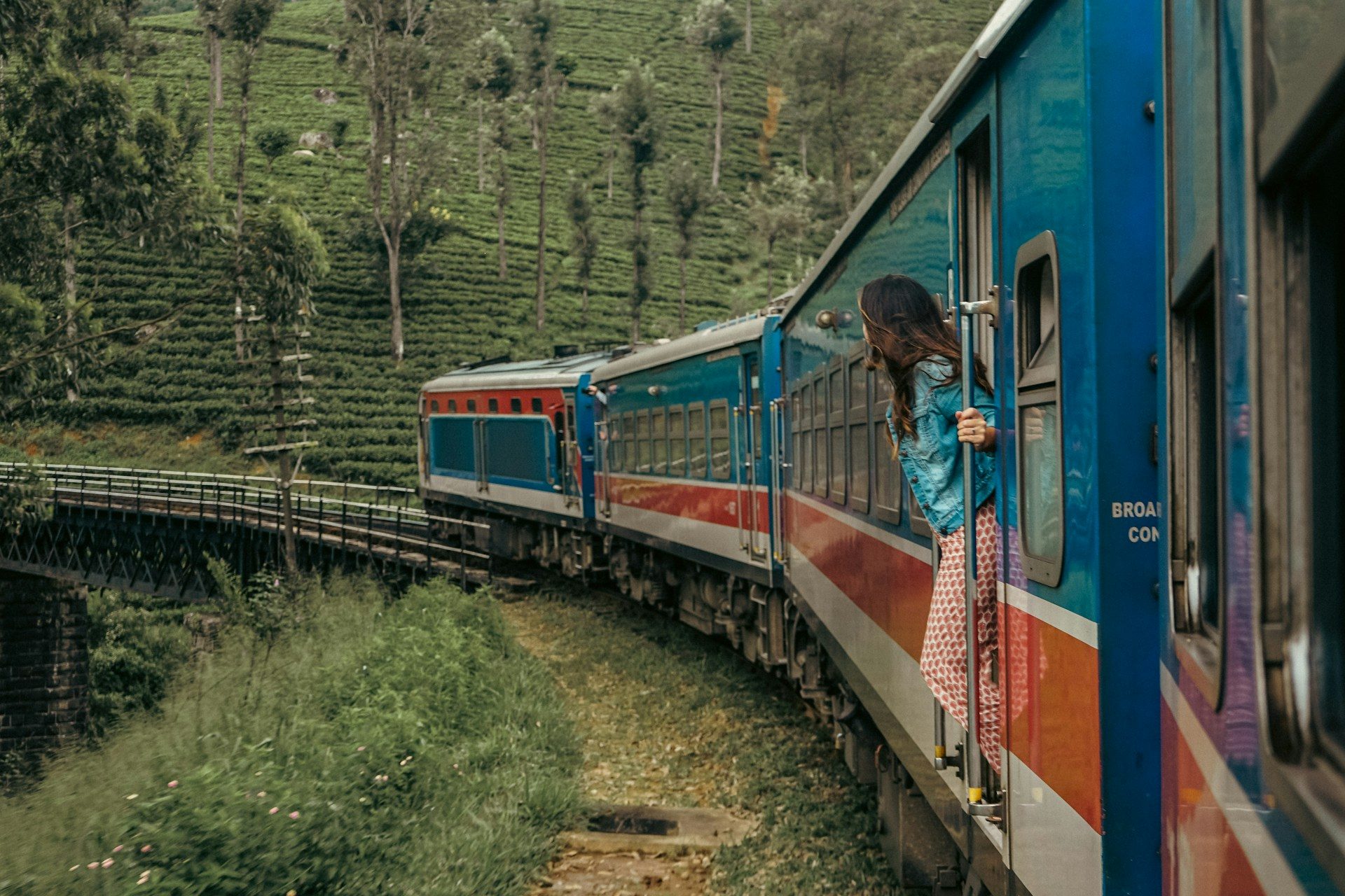 Foto: Ella train - Matt Dany - Unsplash