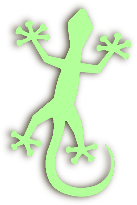 Gecko - Azie-vakantie.nl